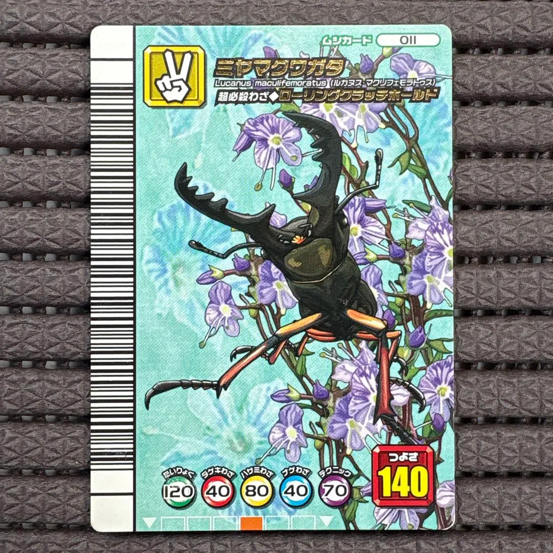 2025年最新】シンザンキョウの人気アイテム - メルカリ