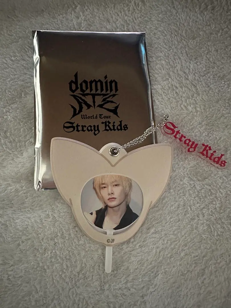 STRAYKIDS スキズ ストレイキッズ アイエン ジョンイン グッズセット ラッピング付 アイエン スキズ StrayKids ストレイキッズ 福袋
