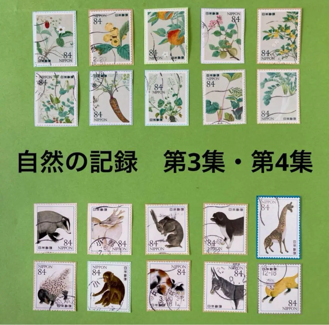 春陽堂 漢方 中国 新註増補版 国訳本草綱目 附図上下 本草図譜 岩崎灌園 漢方 春陽堂 中国 新註増補版 国訳本草綱目 附図上下 本草図譜