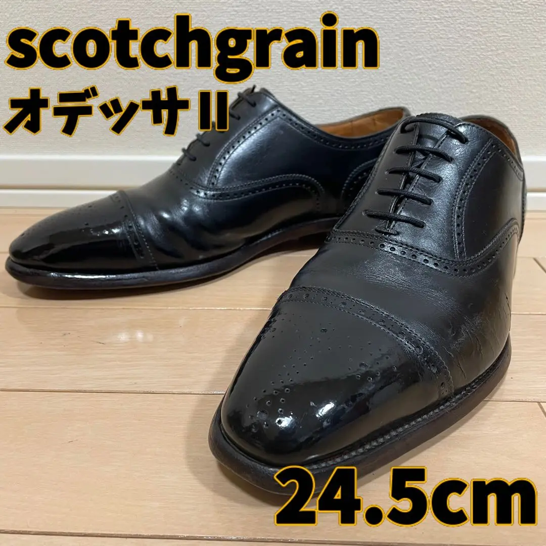 オデッサ │ スコッチグレイン SCOTCH GRAIN