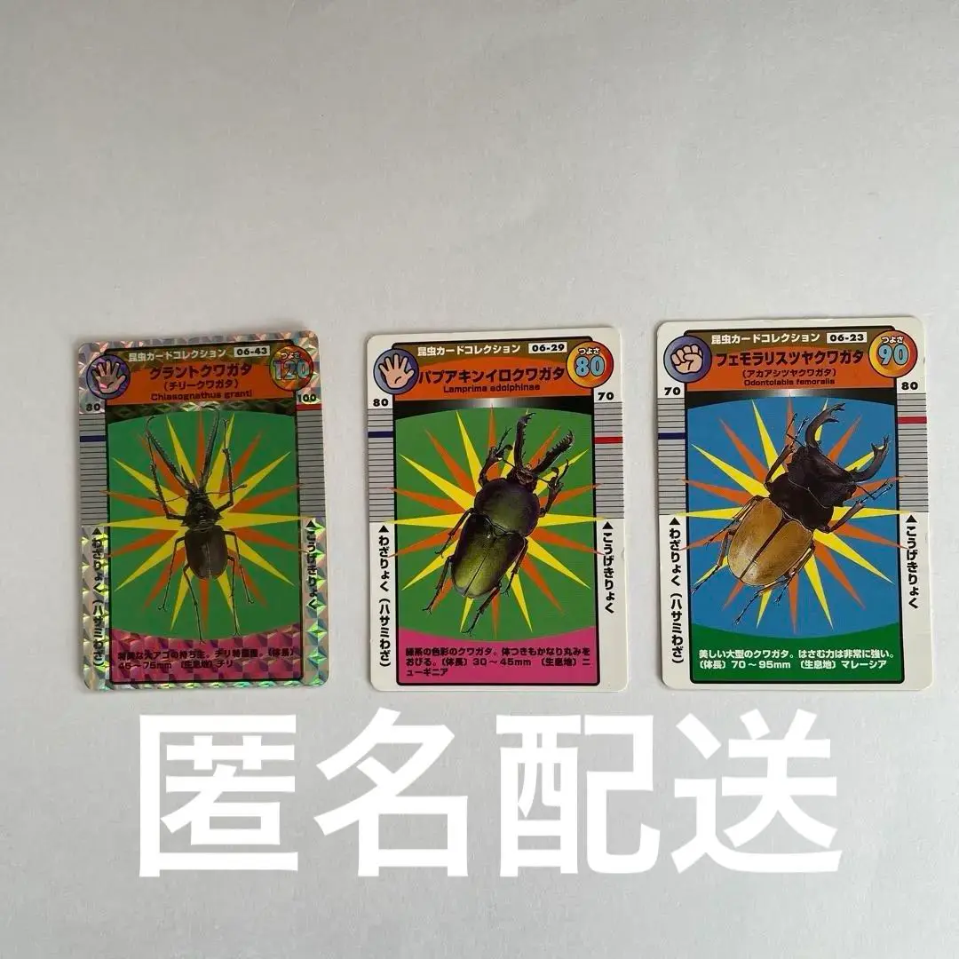 2025年最新】パプアキンイロクワガタ 標本の人気アイテム - メルカリ