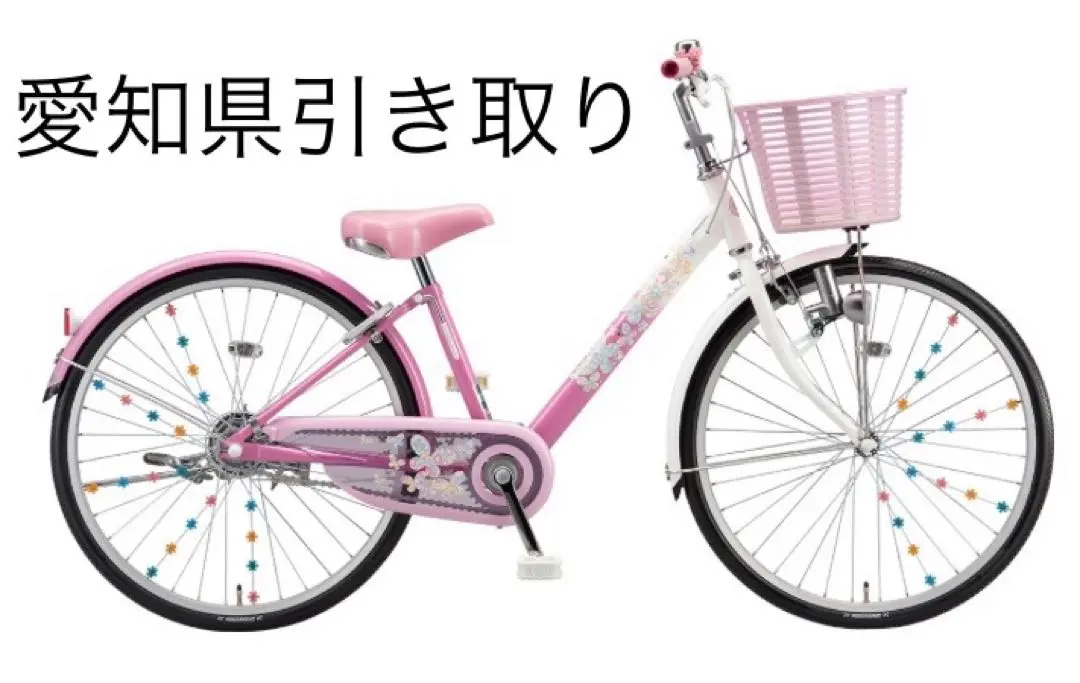 お引き取り限定 ブリヂストン 20インチ エコパル 手動式ライト エコパル ブリヂストン(BRIDGESTONE) こども用自転車 20インチ