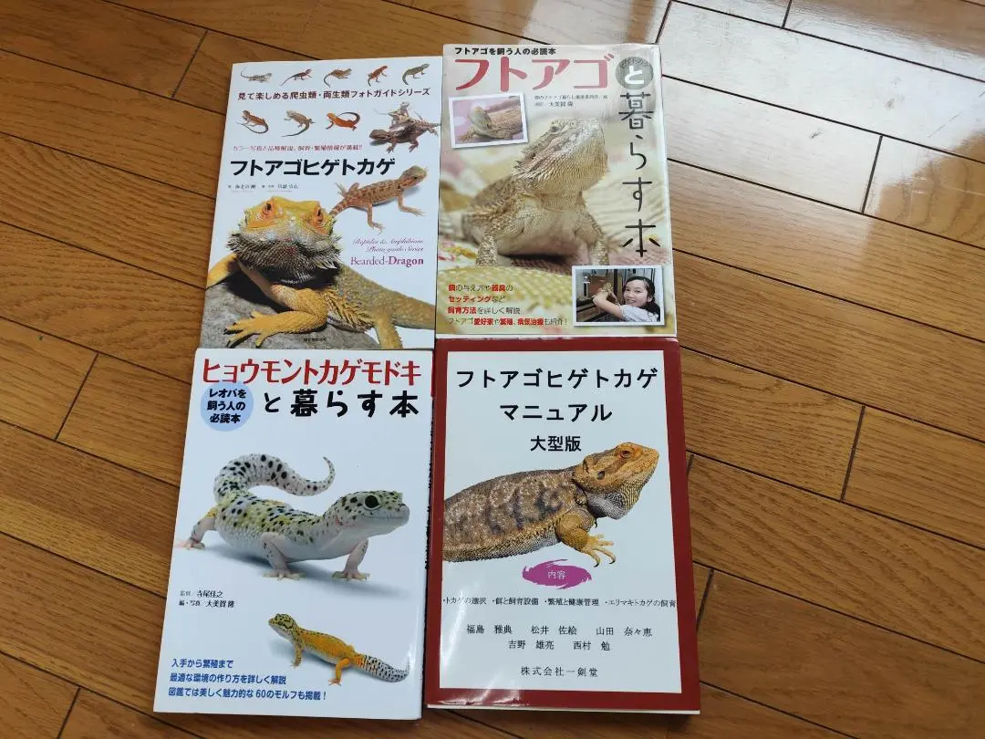 2025年最新】フトアゴヒゲトカゲ飼育セットの人気アイテム
