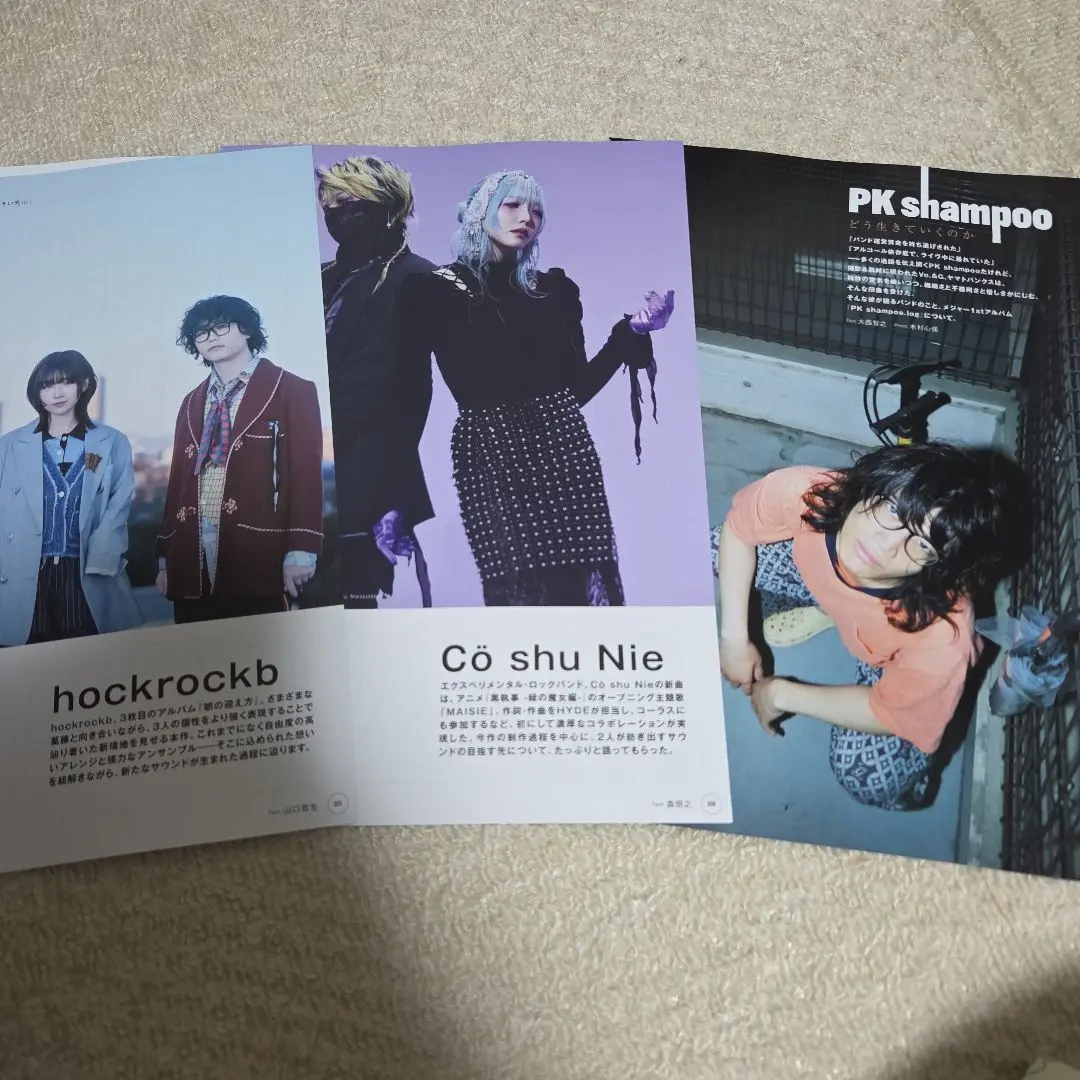 【新品未使用】PK shampoo パーカー Amazon.co.jp: PK shampoo Vermeer hoodie フェルメール