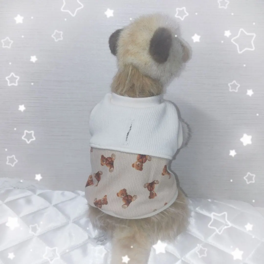 Thumbnail of Meerkat Clothing: Colorblock Tank Top