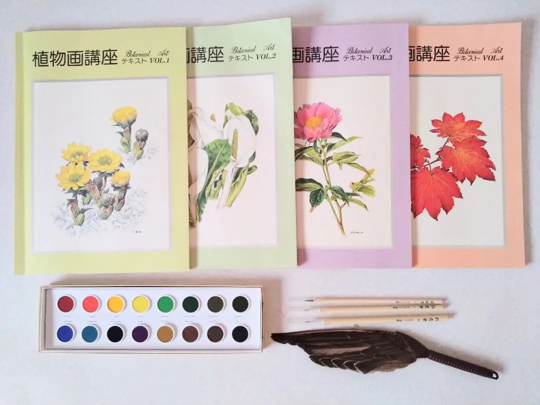 植物の描き方Ⅰ、Ⅱ、Ⅲ３巻セット】ＤＶＤ販売‐日本カタログショッピング