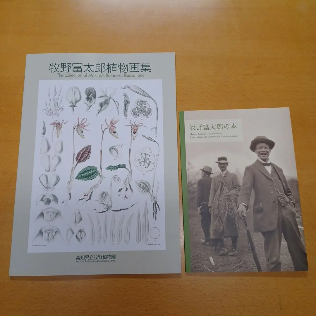 楽天ブックス: 牧野富太郎植物画集 - 牧野富太郎
