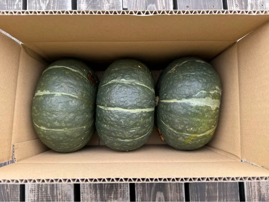 江戸崎かぼちゃ　１箱(10kg) 茨城県産 JA稲敷 江戸崎かぼちゃ10kg入り(4個〜7個入り)【お届け
