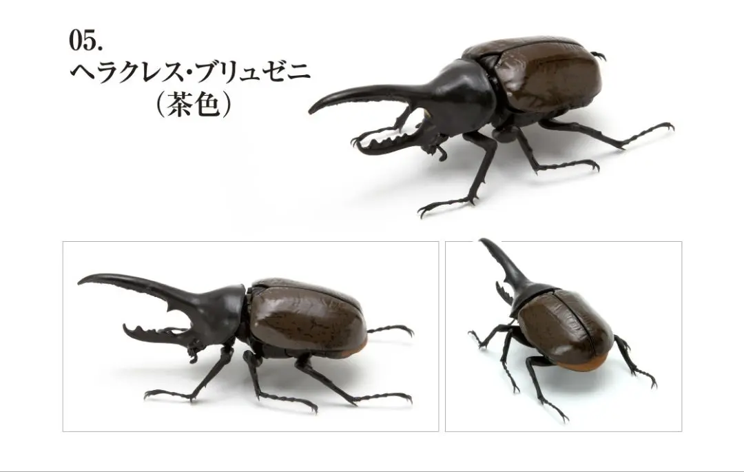 大型】ヘラクレスオオカブト（ヘラクレス）のオブジェ（標本