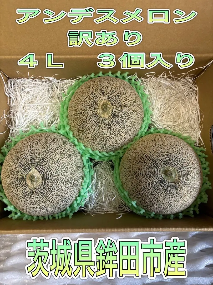 とりこ⭐︎エルソルメロン訳あり品 楽天市場】茨城県産 JA茨城旭村 エルソルメロン A品 大玉 4Lから