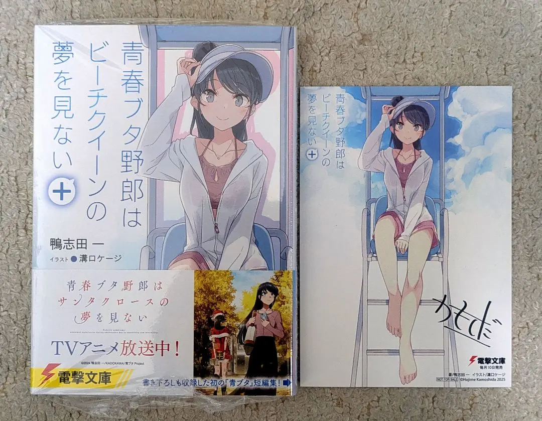 【値段相談可】青春ブタ野郎シリーズ 第15巻 サイン本 青春ブタ野郎はディアフレンドの夢を見ない 15 特装版 鴨志田