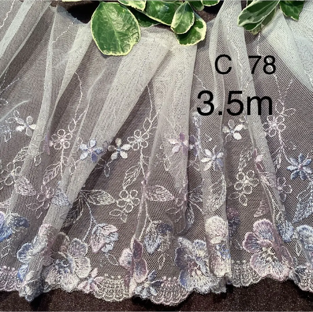 C 77 烏紗蕾絲 的縮圖