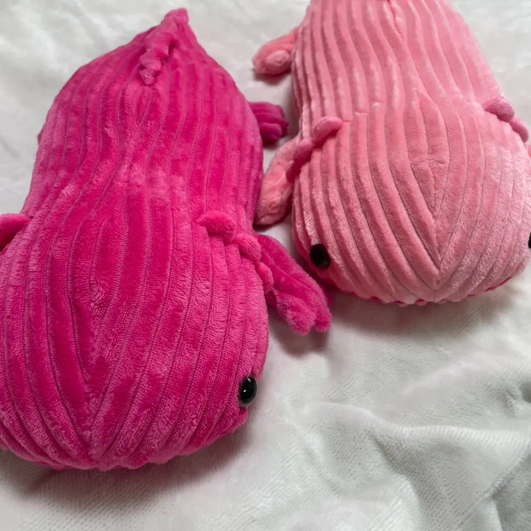 Thumbnail of Set, pink, amazing ocean, axolotl, corduroy