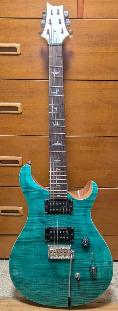2025年最新】prs se custom 24 中古の人気アイテム - メルカリ
