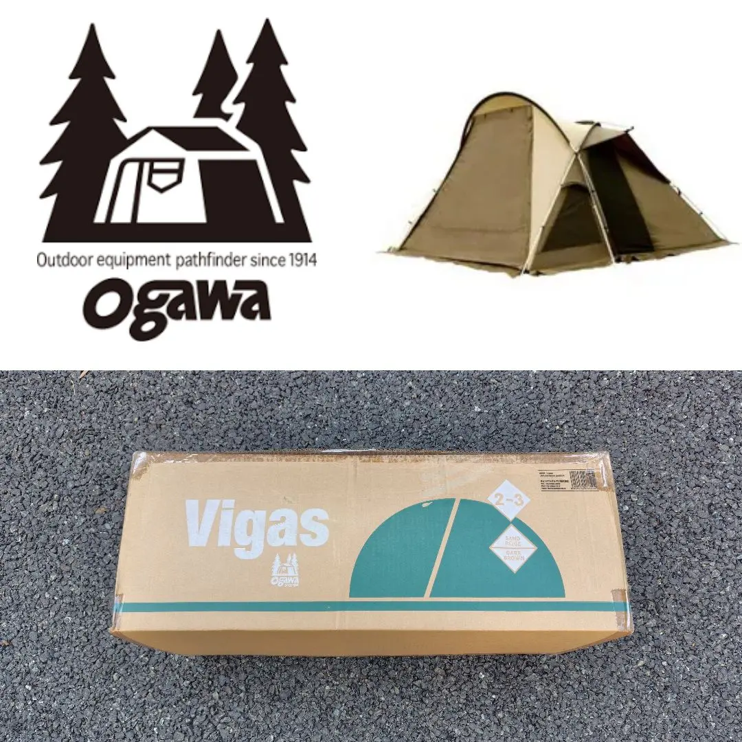 2025年最新】ヴィガス2の人気アイテム - メルカリ