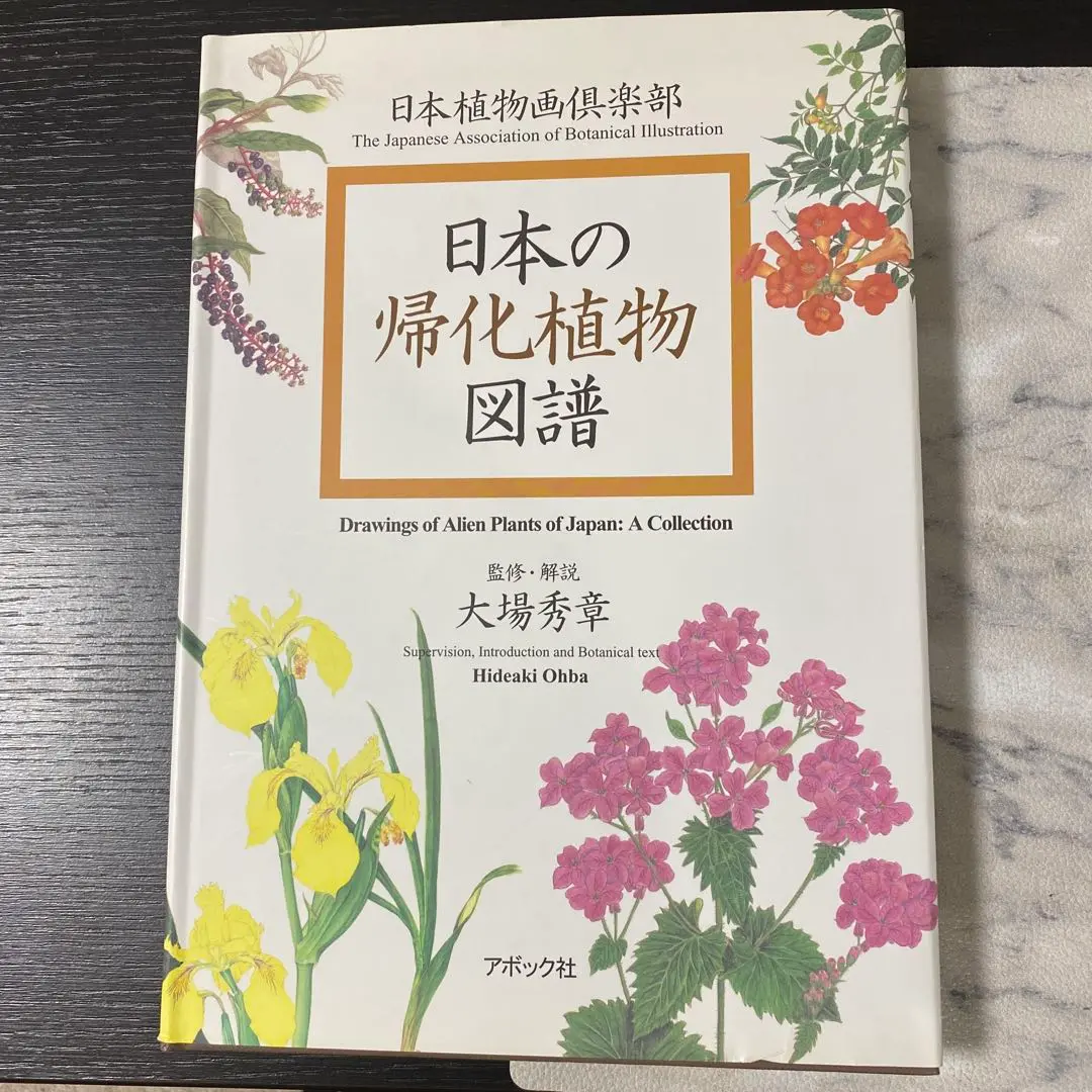 0904 高杉静江 皿の林檎 2001年 日本植物画倶楽部 会員 2025年最新】日本植物画倶楽部の人気アイテム - メルカリ