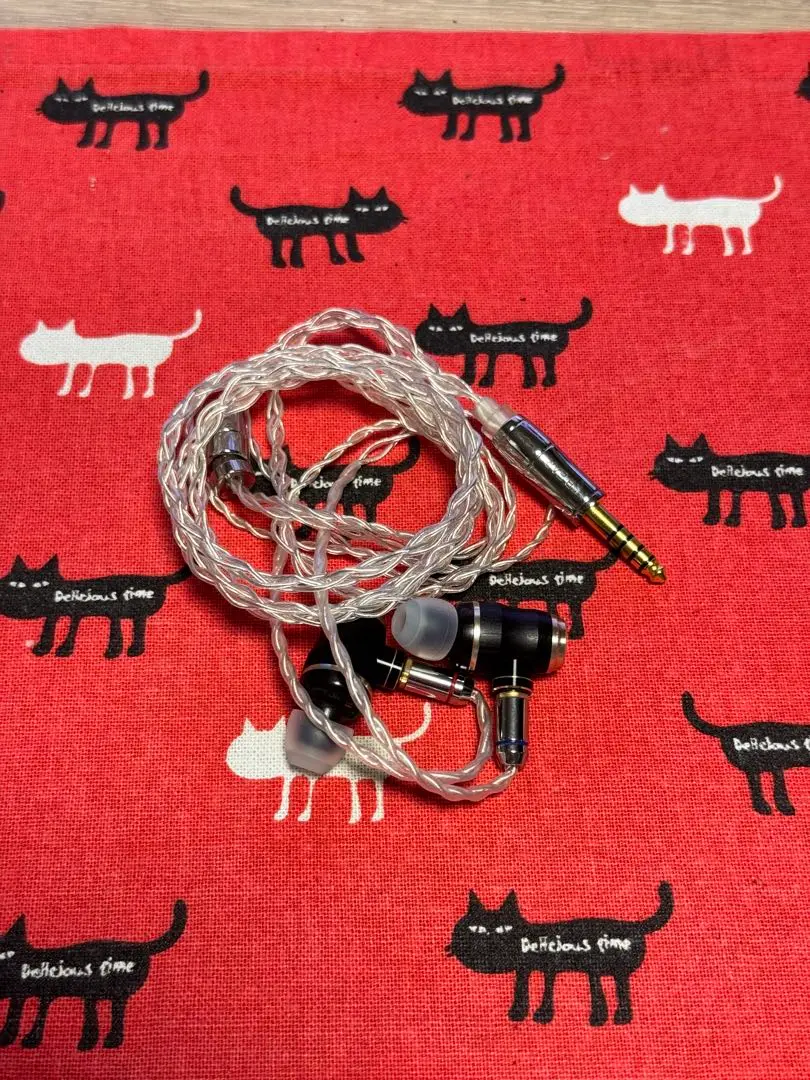 JVC ステレオミニヘッドホン HA-FX1100 ジャンク品 JVC Kenwood Victor Ha-fx1100 Wood Stereo In-ear Headphones