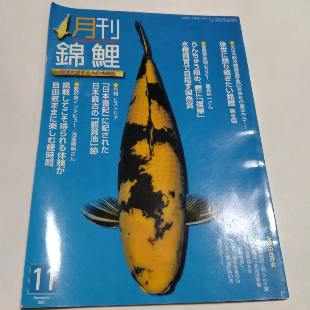 鱗光 月刊錦鯉 日鱗 52冊セット まとめ売り 錦鯉 鱗光 2022年04月15日発売号 | 雑誌/定期購読の予約はFujisan