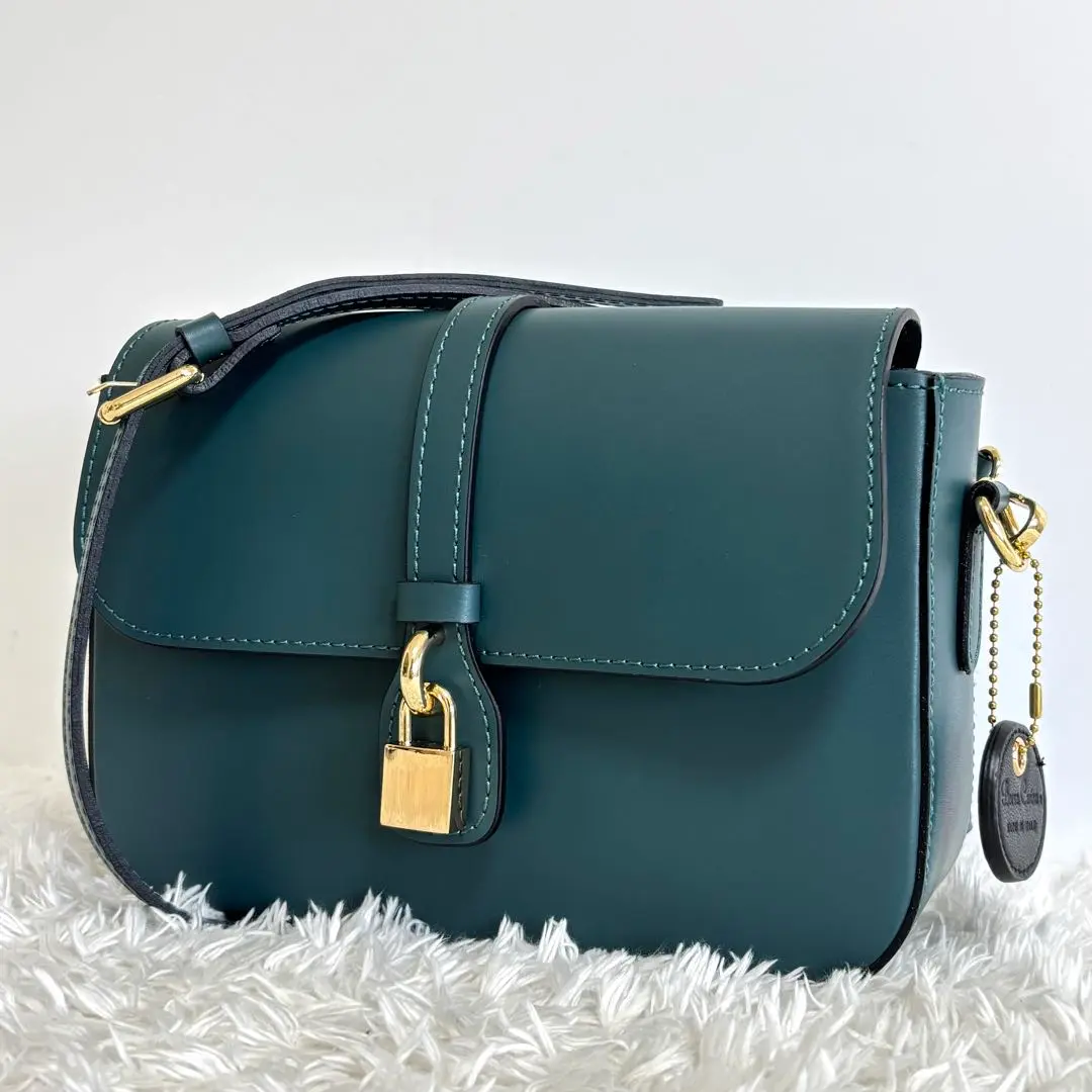 Amazon.co.jp: Borsa Carina ハンドバッグ 2way レザー ベージュ