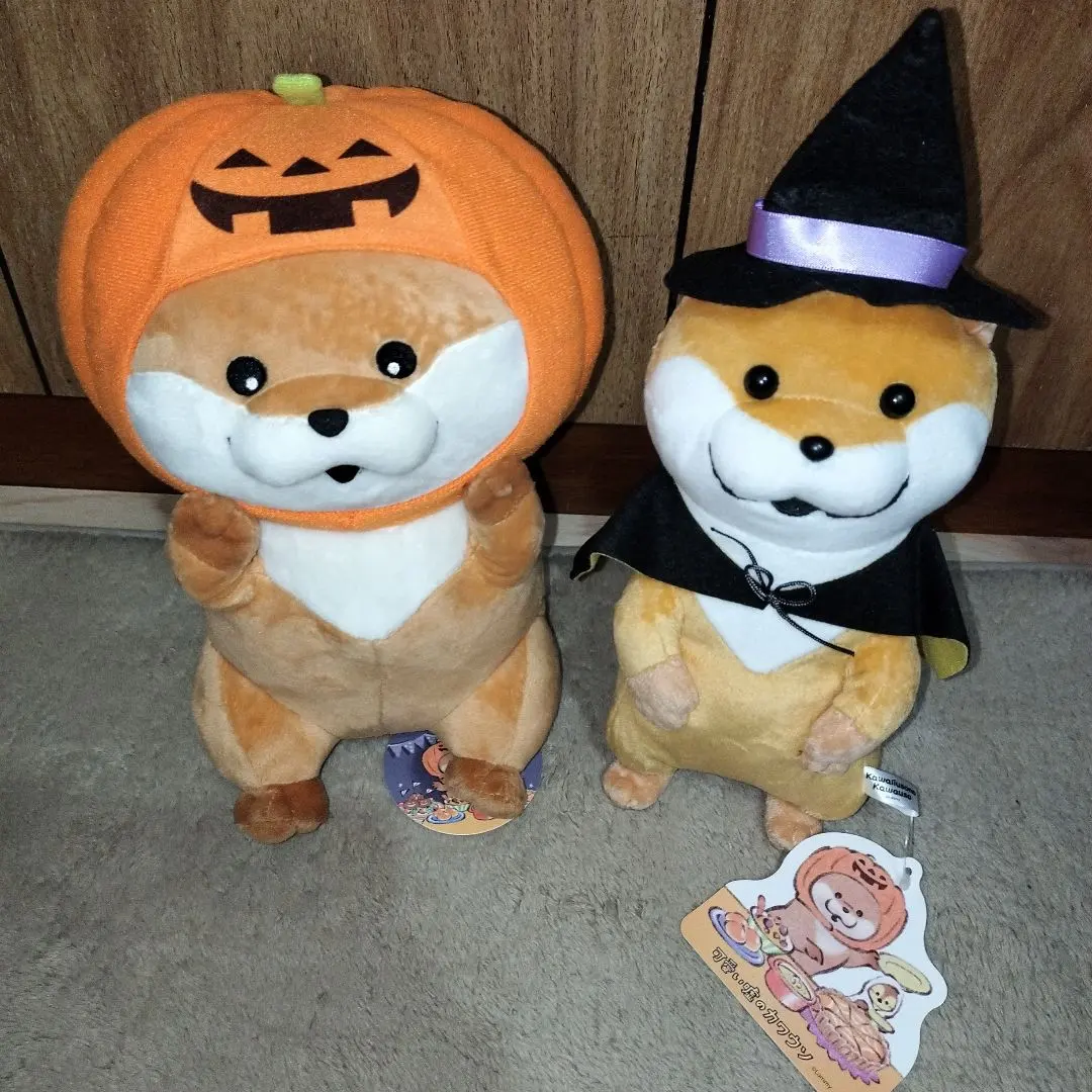 2025年最新】可愛い嘘のカワウソ ぬいぐるみ ハロウィンの人気