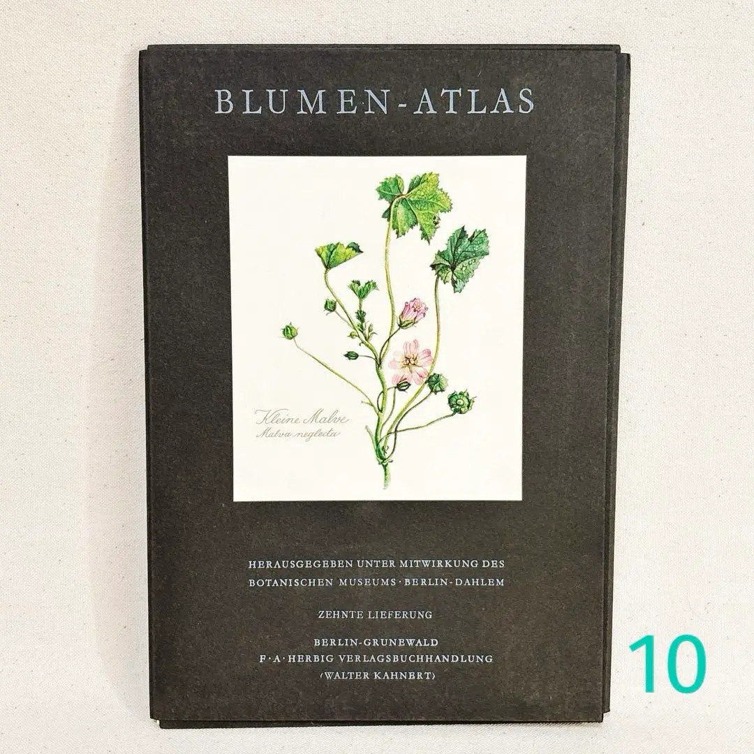 【美品】Blumen Fibel 2巻Elsa Felsko ドイツ図鑑 美品】Blumen Fibel 2巻Elsa Felsko ドイツ図鑑 - メルカリ