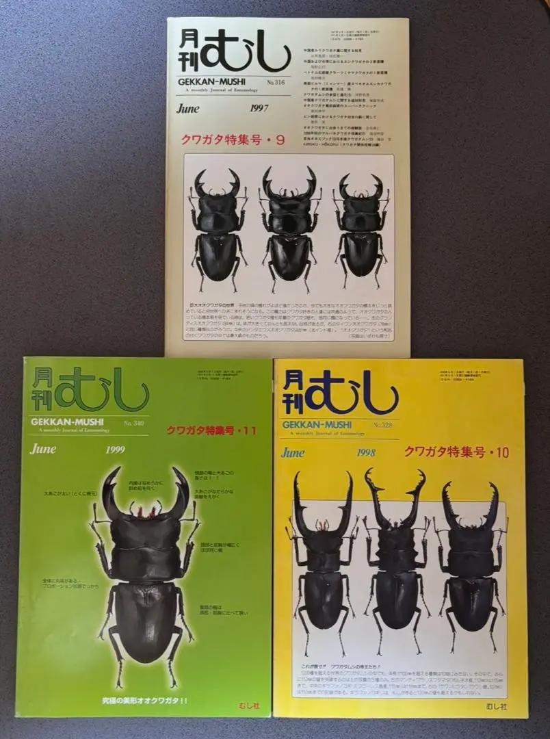 月刊むし ￼クワガタ特集号他 まとめ売り9冊 むし社 クワガタ
