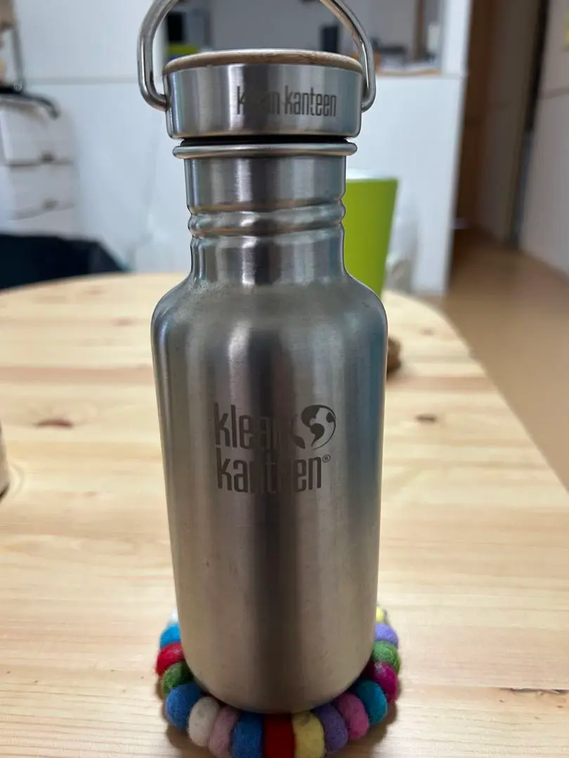 Klean Kanteen Reflect 18oz (532mL) – GatoMALL - Shop for