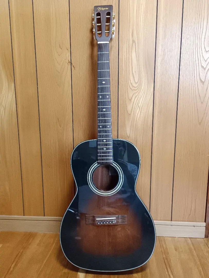 Takamine（タカミネ） TSN-500 - ギター・楽器買取のサウンド