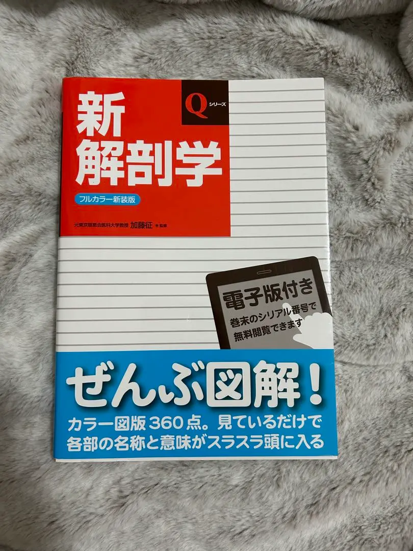 新解剖学などQシリーズ 5冊 新解剖学 (Qシリーズ) | 加藤 征 |本 | 通販 | Amazon