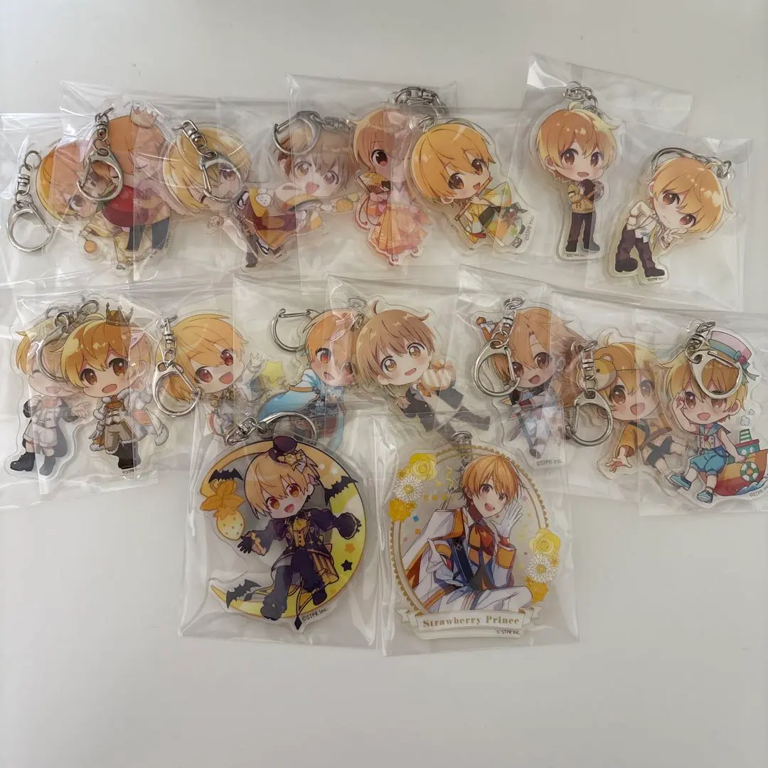 Thumbnail of StPri Root Acrylic Keyholder 18 Piece Set