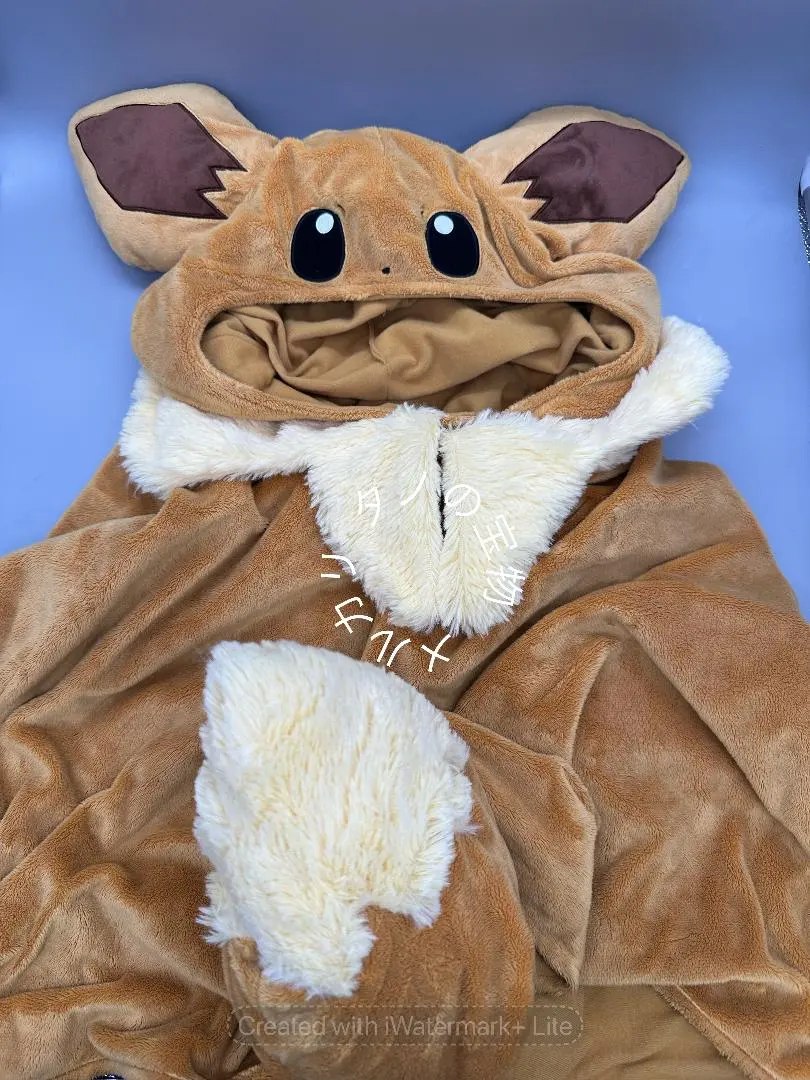 Thumbnail of Official Pokémon Center Eevee Poncho Hood