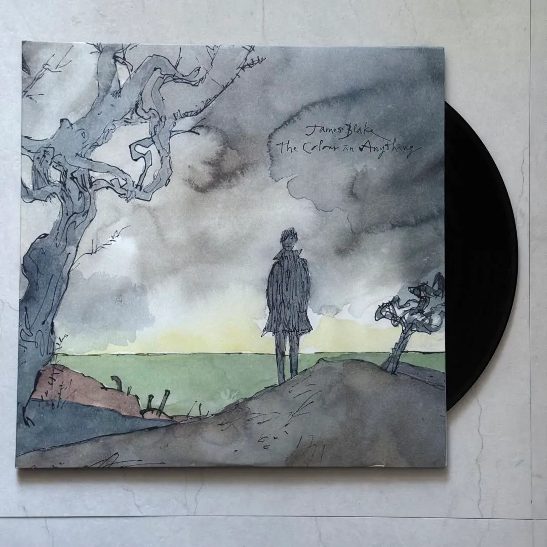 2025年最新】james blake レコードの人気アイテム - メルカリ