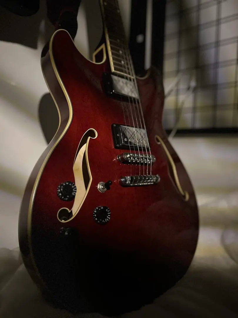 Ibanez AS73D-NT-12-02ハードケース 付き 2025年最新】ibanez as73の人気アイテム - メルカリ