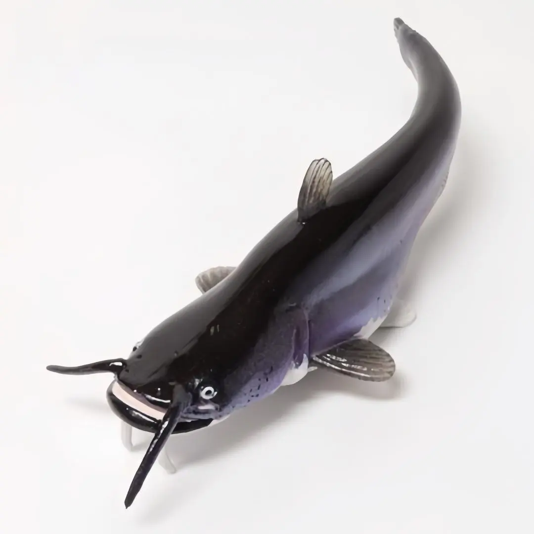 Thumbnail of Nature Technicolor: Japanese Creatures 02: Biwao-oonamazu (Japanese Sheatfish)