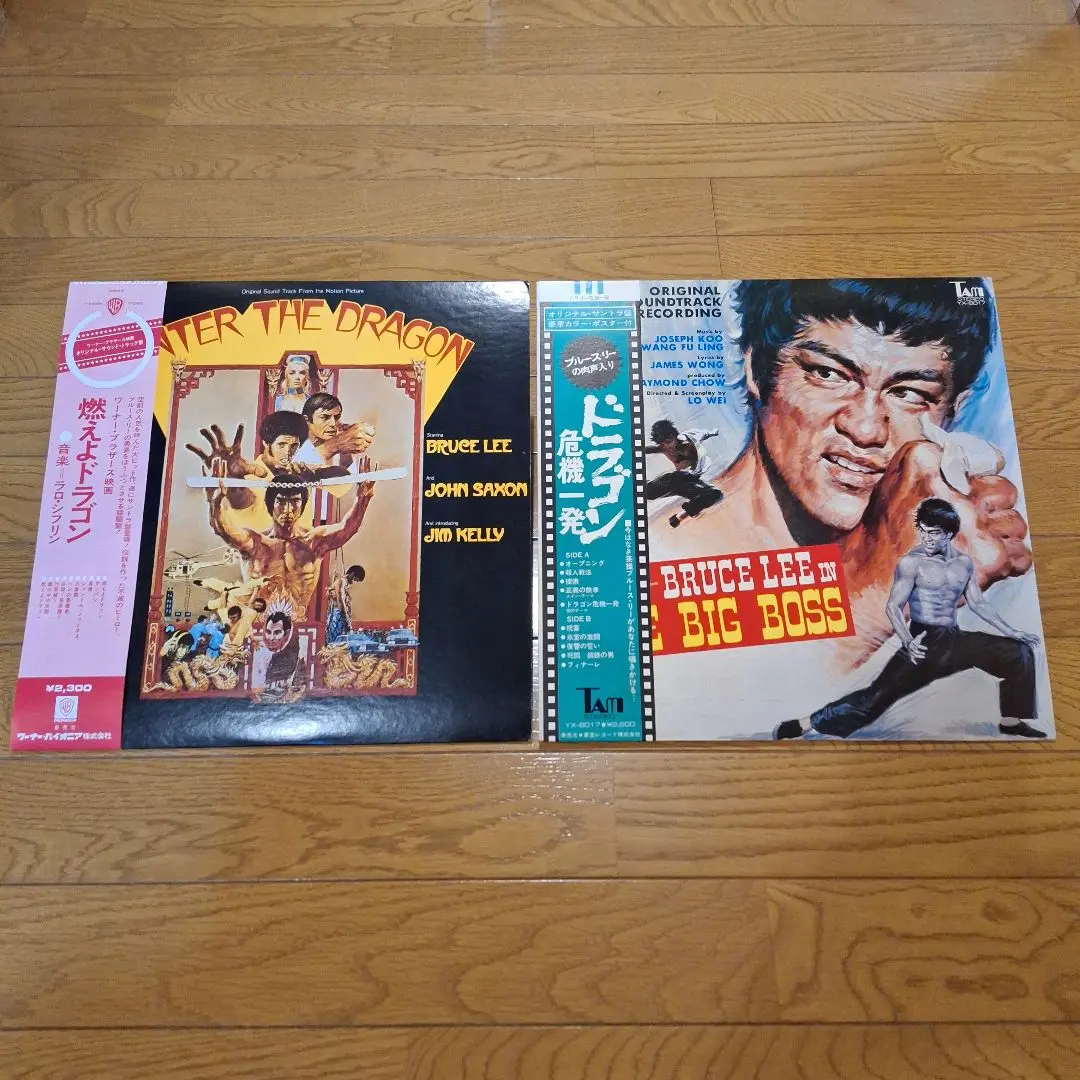 ブルース・リー 「Jun Fan JKD Nucleus」計15冊セット 2025年最新】ブルース・リーノーツの人気アイテム - メルカリ