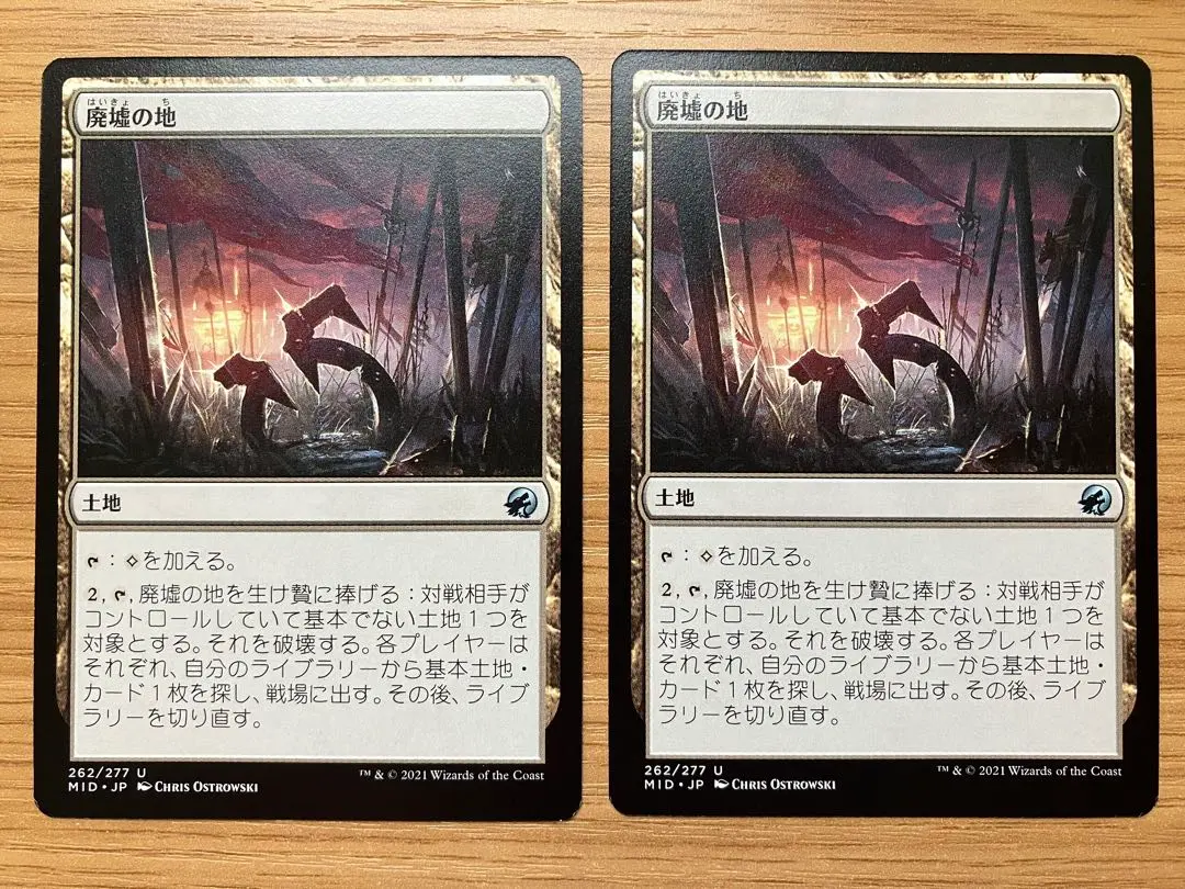 Thumbnail of MTG Field of Ruin Japanese Version Set of 2