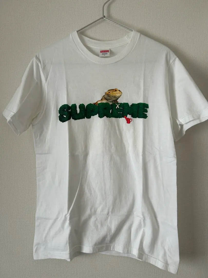 2025年最新】supreme lizard teeの人気アイテム - メルカリ