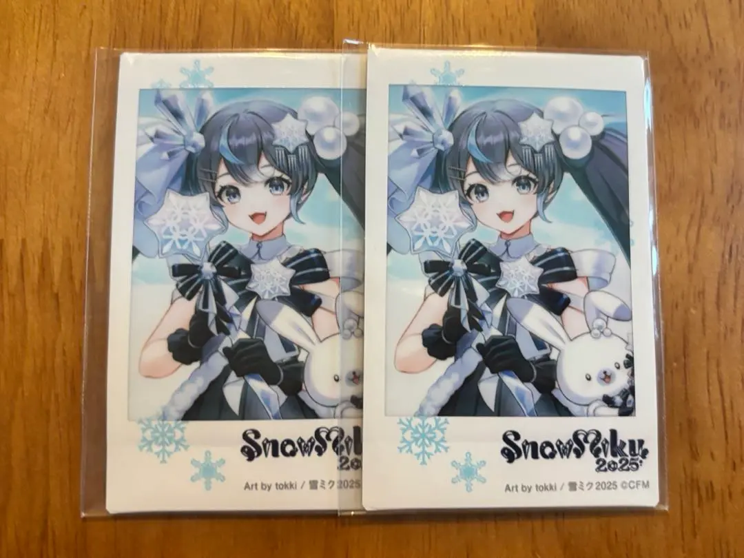 2025年最新】雪ミク 2025 チェキの人気アイテム - メルカリ