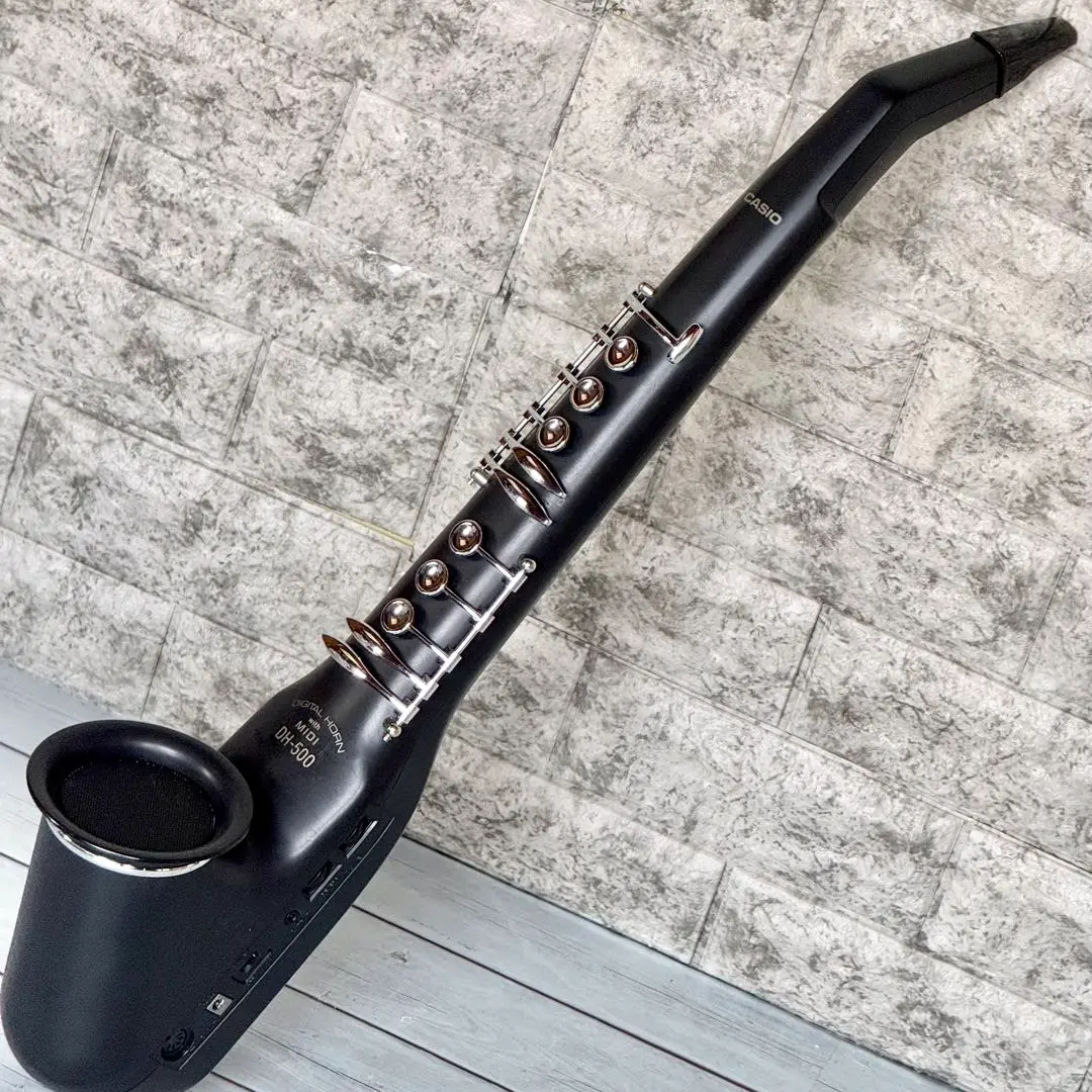 Amazon | CASIO (カシオ) デジタルホーン DH-500 Digital Horn