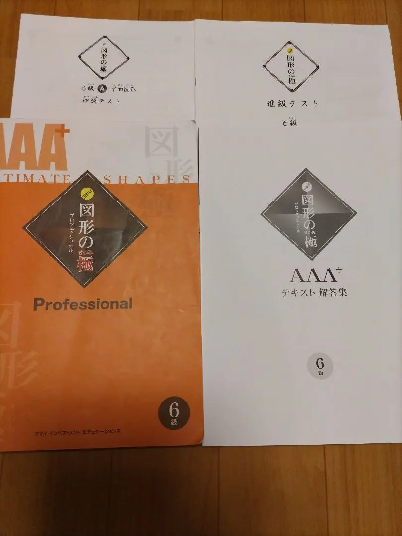 玉井式 図形の極 7 プロフェッショナル　6冊セット 玉井式 図形の極 7 プロフェッショナル 6冊セット