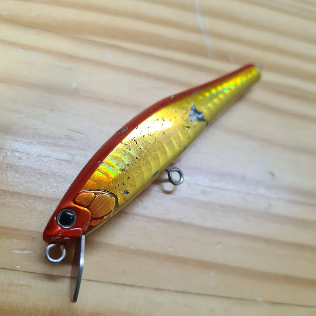 Thumbnail of Duo Realis Minnow 95