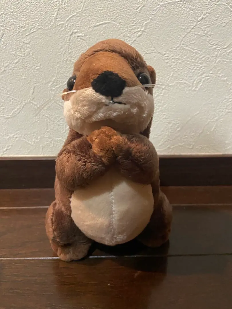 Thumbnail of Otter plushie