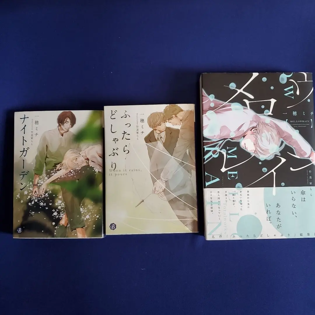 【中古】 ナイトガーデン/ＫＡＤＯＫＡＷＡ/一穂ミチ ナイトガーデン』｜本のあらすじ・感想・レビュー - 読書メーター