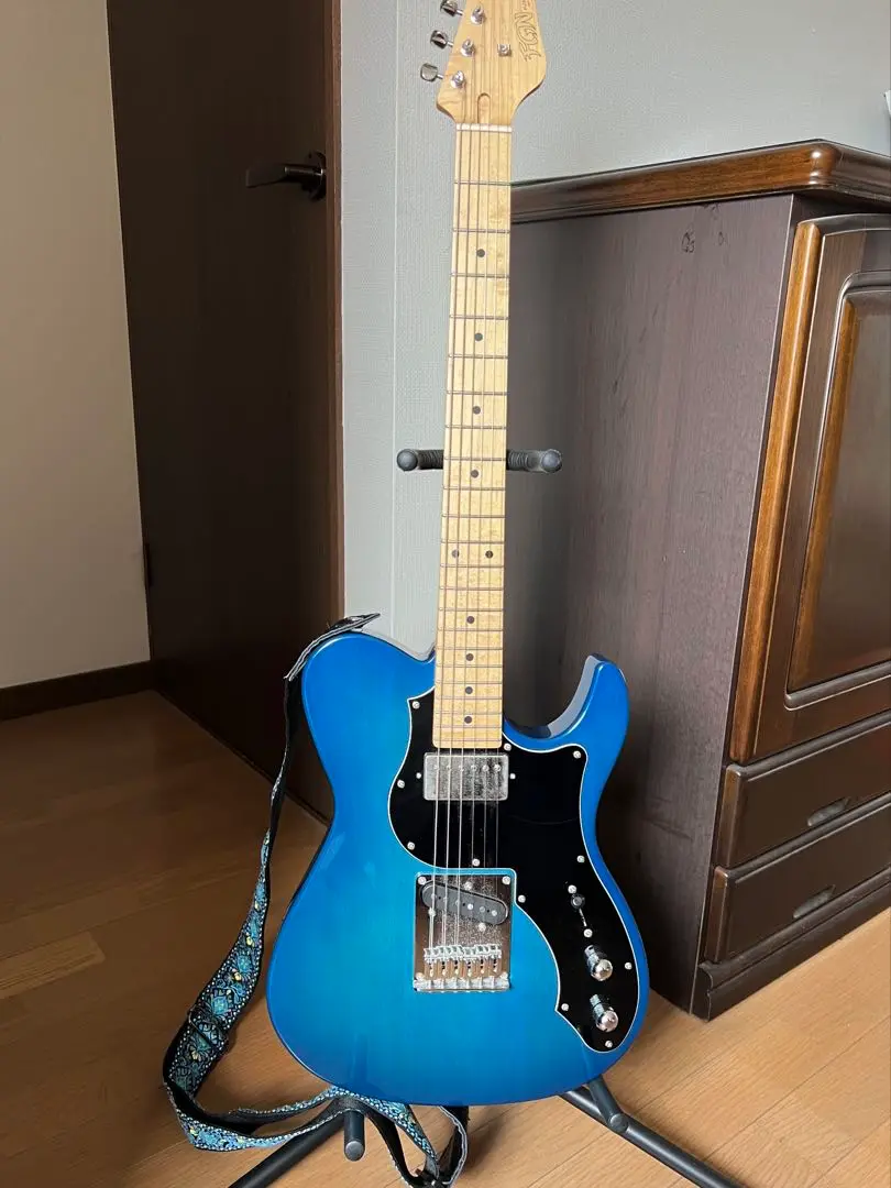【生産終了】フジゲン　テレキャスター　Boundary ILIAD ブルー FUJIGEN FGN フジゲン BIL2-M-HS TBS Boundary ILIADシリーズ