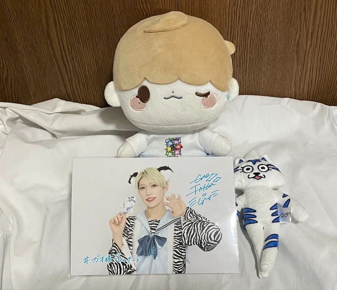 パンダドラゴン たいが ぬいぐるみセット パンダドラゴン ぬいぐるみ たいが（パンダドラゴン ぬいぐるみ