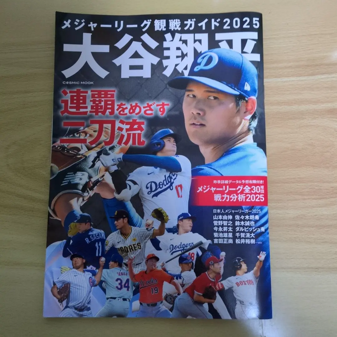 Thumbnail of Major League Baseball Viewing Guide 2025