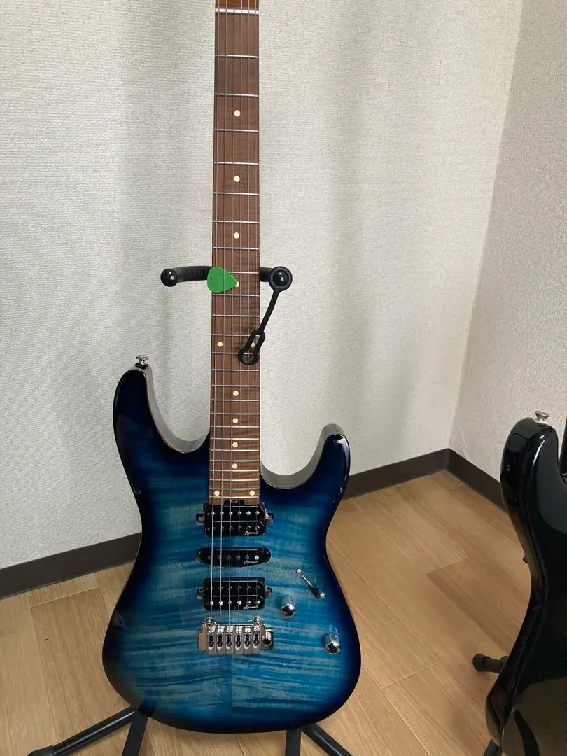 2025年最新】harley benton fusionの人気アイテム - メルカリ