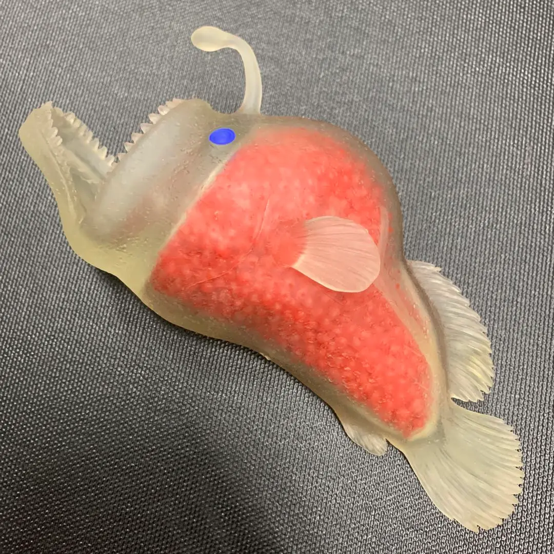 ミツクリエナガチョウチンアンコウ液浸標本 ミツクリエナガチョウチンアンコウ液浸標本 - メルカリ