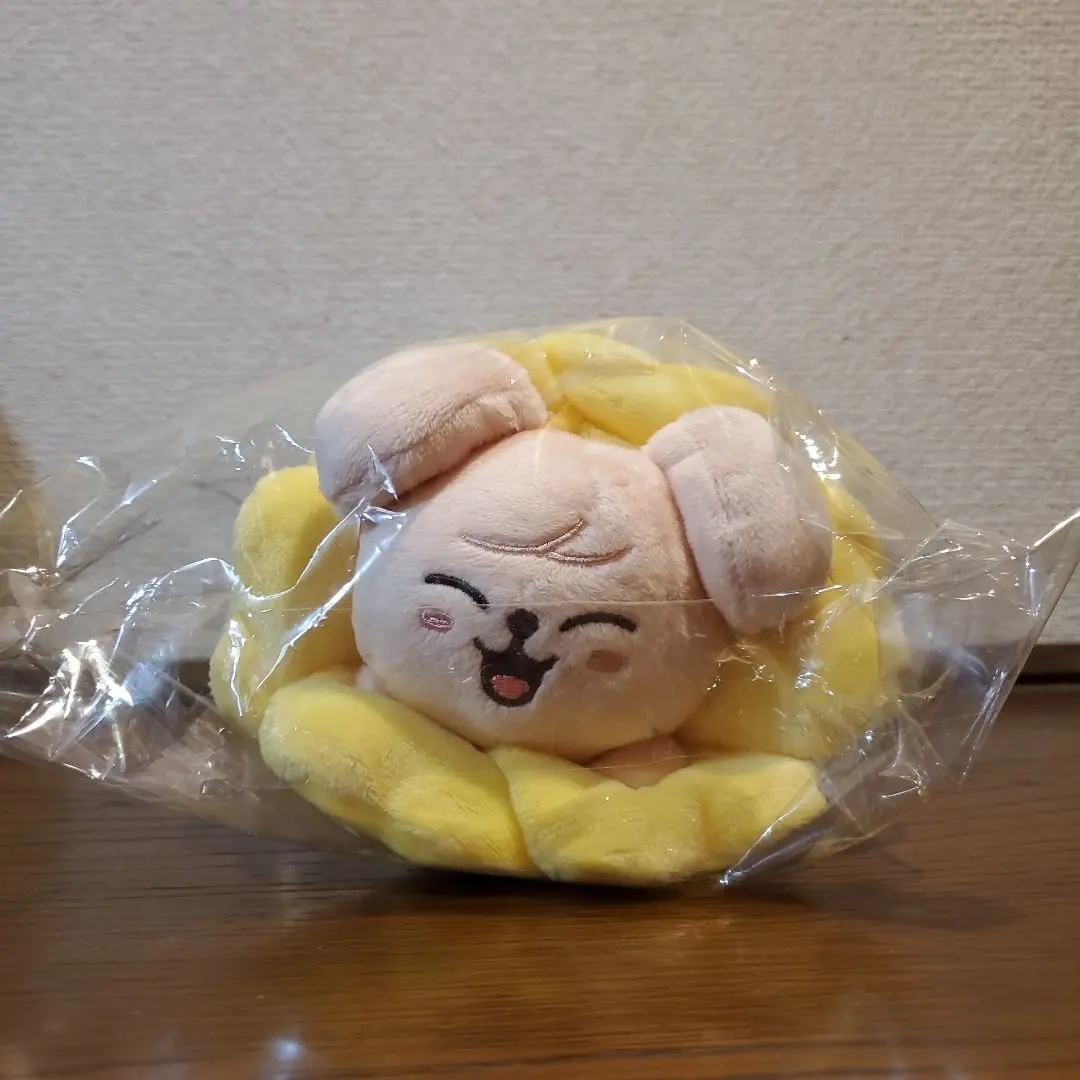 スキズ フィリックス ポガリ ヘアクリップ ペンケース SKZOO