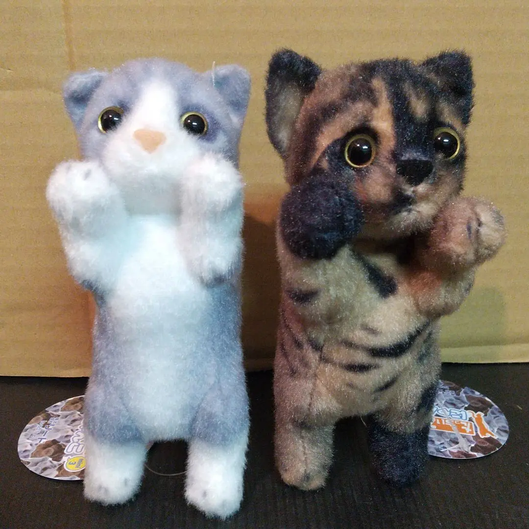 2025年最新】たっちぃzooにゃんこ3の人気アイテム - メルカリ